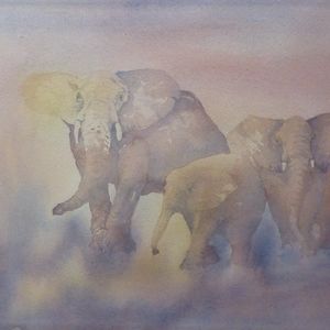 African Elephant Series - 1