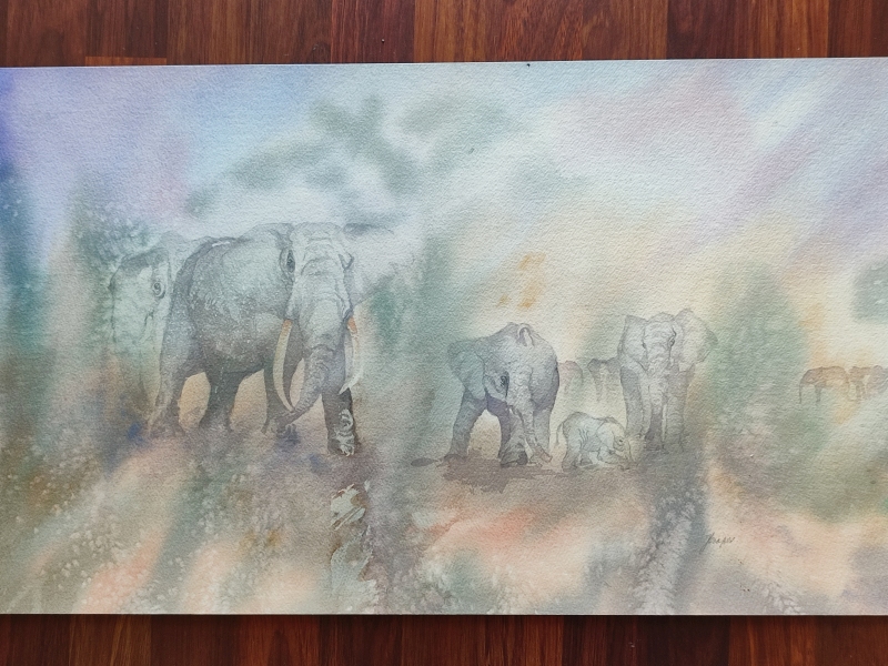 African Elephant Series - 3