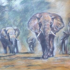 Elephant Herd by Shear, Brian