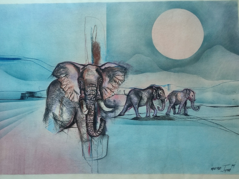 Elephants by Night